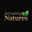 Amazing Natures Logo